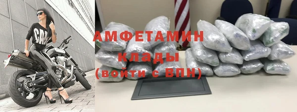 твердый Михайлов
