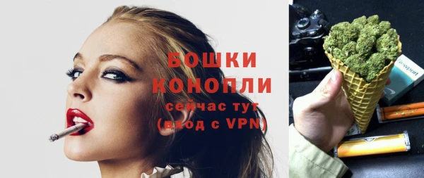 твердый Михайлов