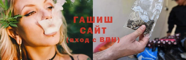 твердый Михайлов