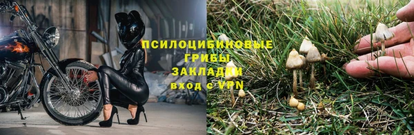 амф Михайловск