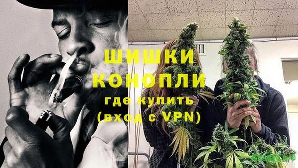 твердый Михайлов