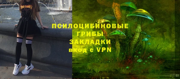 амф Михайловск