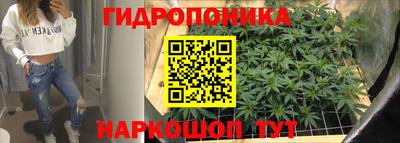 молекула духа Гусиноозёрск