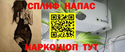 гидра Гусев