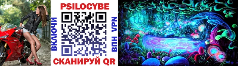 Галлюциногенные грибы Psilocybe  Чернушка 