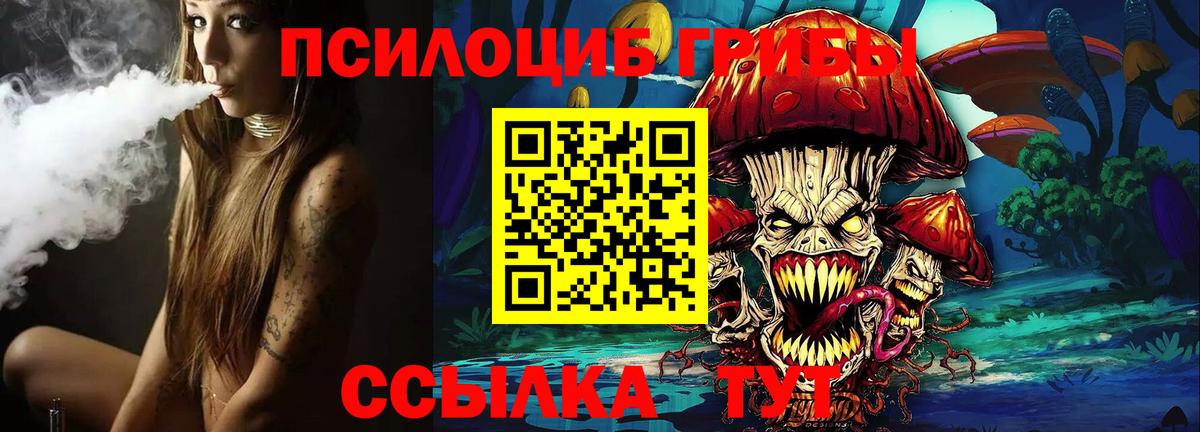 Галлюциногенные грибы Cubensis Чернушка