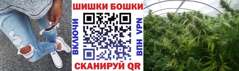Бошки марихуана сатива  что такое наркотик  Чернушка 