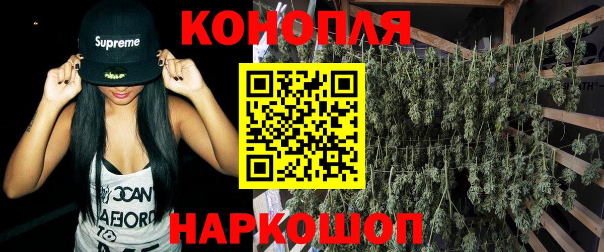 Канабис White Widow  Вход с VPN  Чернушка  Бошки Шишки сатива 